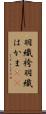 羽織袴 Scroll