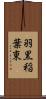 羽黒稲葉東 Scroll