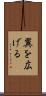 翼を広げる Scroll