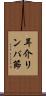 耳介リンパ節 Scroll