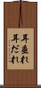 耳垂れ Scroll
