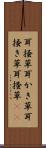 耳掻草 Scroll