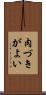 肉づきがよい Scroll