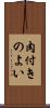 肉付きのよい Scroll