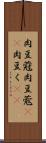 肉豆蒄 Scroll