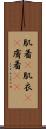 肌着(P) Scroll