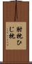 肘枕 Scroll