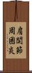 肩関節周囲炎 Scroll