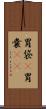 胃袋(P) Scroll