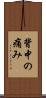 背中の痛み Scroll