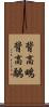 背高鴫 Scroll