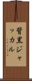 背黒ジャッカル Scroll