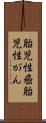 胎児性癌 Scroll