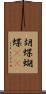 胡蝶 Scroll