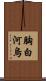 胸白河烏 Scroll