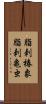 脂刺椿象;脂刺亀虫 Scroll