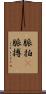 脈拍(P) Scroll