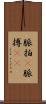 脈拍(P) Scroll