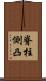 脊柱側凸 Scroll