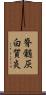 脊髄灰白質炎 Scroll