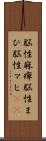 脳性麻痺 Scroll
