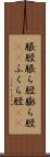 脹脛 Scroll