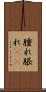 腫れ Scroll