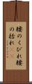 腰のくびれ Scroll