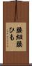 腰紐 Scroll