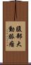 腹部大動脈瘤 Scroll
