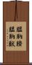 膃肭臍 Scroll