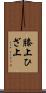 膝上 Scroll