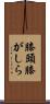 膝頭 Scroll
