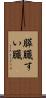膵臓 Scroll