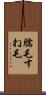 臑毛 Scroll