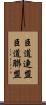 臣道連盟 Scroll