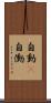 自動(P) Scroll