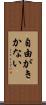 自由がきかない Scroll