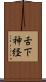 舌下神経 Scroll