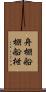舟棚 Scroll