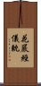 花嚴經儀軌 Scroll