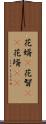 花婿(P) Scroll