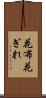 花布 Scroll