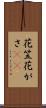 花笠 Scroll
