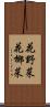 花野菜 Scroll