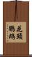 花頭鸚鵡 Scroll