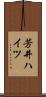 芳井ハイツ Scroll