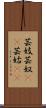 芸妓;芸奴(iK);芸姑(iK) Scroll