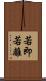 若即若離 Scroll