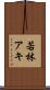 若林アキ Scroll